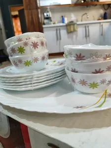 تجریه خرید سرویس غذاخوری 25 پارچه آفر مدل نیو هستی