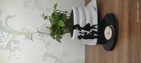 جاشمعی ژیوار طرح عشق ابدی