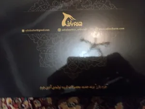 تجریه خرید ست هدیه چرم بارز مدل DS62