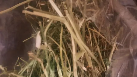 یونجه جوندگان مدل نوین وزن 1000 گرم