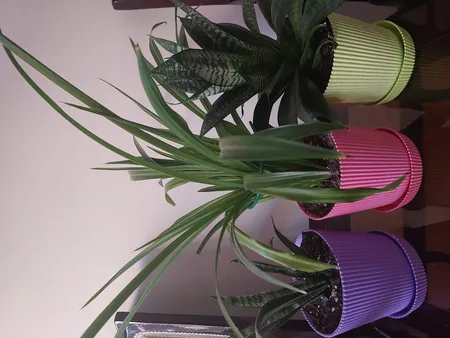 گلدان مدل آیما 15 مجموعه 6 عددی