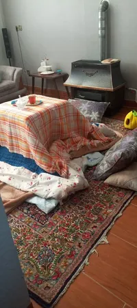 کرسی برقی ماها سازه مدل W500