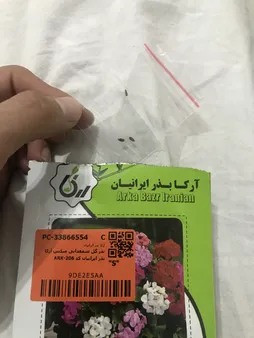 بذر گل شمعدانی میکس آرکا بذر ایرانیان کد 206-ARK
