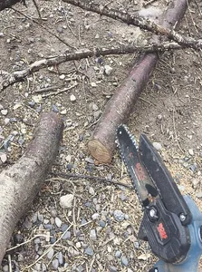 تجریه خرید اره زنجیری شارژی باس مدل 88VF