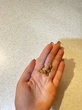 تجریه خرید غذا خشک سگ مونلو مدل بالغ نژاد کوچک طعم گوشت وزن 1 کیلوگرم