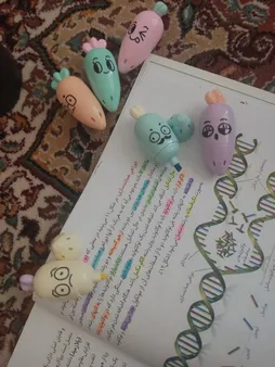 ماژیک علامت گذار طرح هویج مجموعه 6 عددی