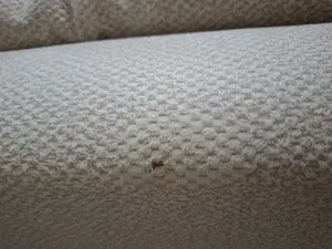 تجریه خرید مبل ال راحتی 5 نفره شاهان دکور  مدل کارنا 021