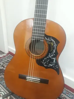 گلپیدور گیتار مدل FD30