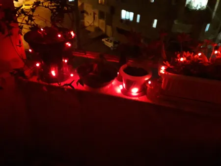 ریسه ال ای دی USB کد 5V طول 5 متر