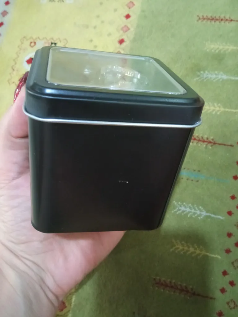ساعت مچی عقربه ای زنانه اسکمی مدل 1262GL