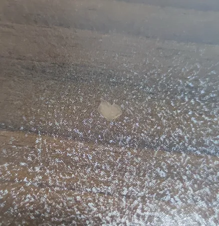 میز آرایش کد CL10