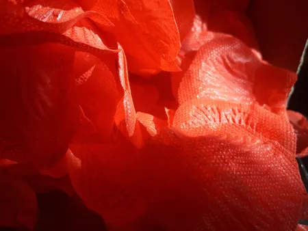 گلبرگ گل مصنوعی شیک و تک مدل DSH 104