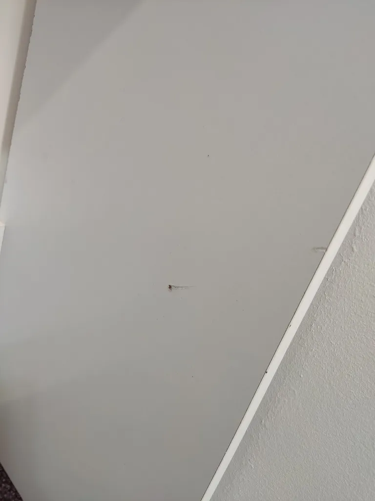 میز آرایش مدل IKE 4702