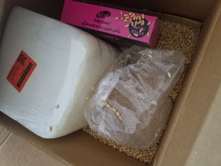 غذای پرندگان طلوع مدل دانه گندم وزن 1000 گرم