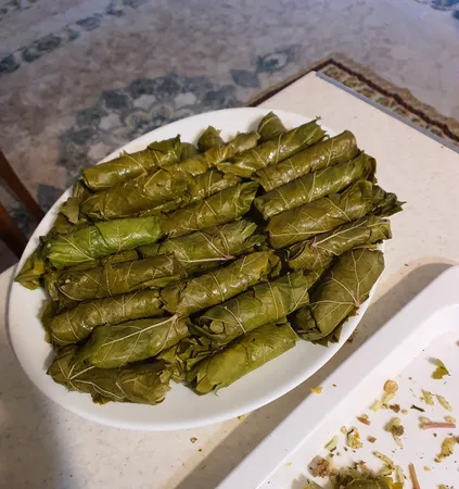 دلمه پیچ پارسینا مدل Quick Roller