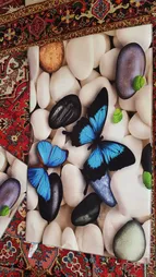 دستگاه چسب پهن آریانا مدل F17