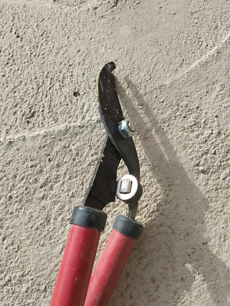 قیچی باغبانی شاخه زن جاب مدل JB-30021 BL