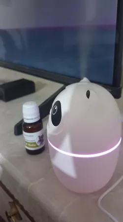 دستگاه بخور سرد مدل A10 طرح پاندا