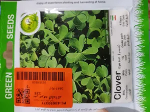 تجریه خرید بذر خرفه گیلدا کد 125