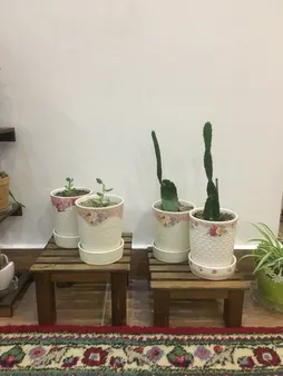 استند گلدان مدل NETWg02 مجموعه 2 عددی