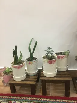 استند گلدان مدل NETWg02 مجموعه 2 عددی