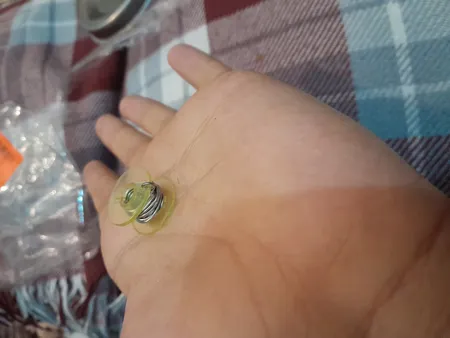 پایه هویه مدل P/50//333 همراه با روغن لحیم مبنا و سیم لحیم