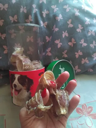 تشویقی سگ سویل پت مدل CATTLE TRACHEA SNACK بسته 20 عددی