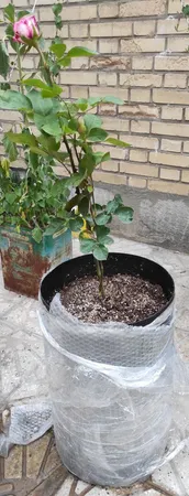 گلدان مدل استوانه ای فلزی گل آذین کد 530