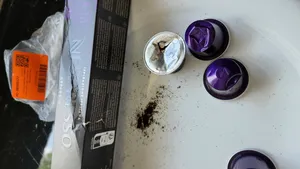 تجریه خرید کپسول قهوه نسپرسو مدل Arpeggio بسته 2 عددی