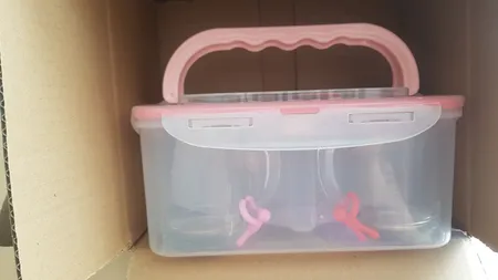 سبد پیک نیک لیمون مدل AT104