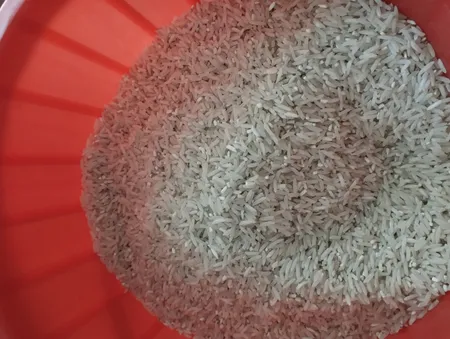 برنج ایرانی طارم فجر - 10 کیلوگرم