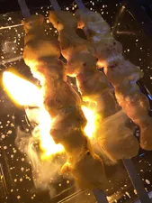 تجریه خرید کباب پز صبا مدل A35