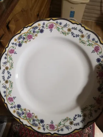 سرویس  غذا خوری 28 پارچه چینی زرین ایران سری ایتالیا اف مدل Golestan 2 درجه عالی