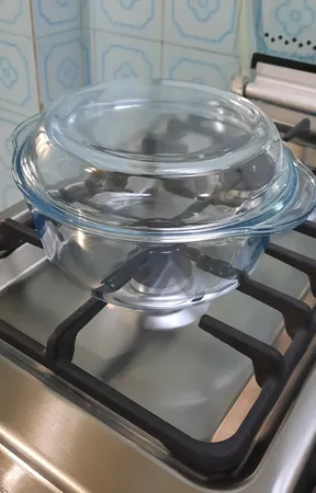 ظرف پخت پاشاباغچه کد 59023