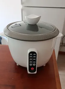 تجریه خرید پلوپز 5 نفره مه پویا مدل DM-500