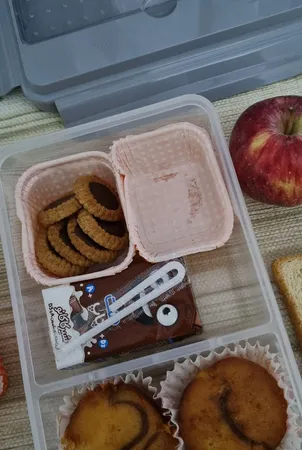 ظرف غذا مدل ویرو 16. 24