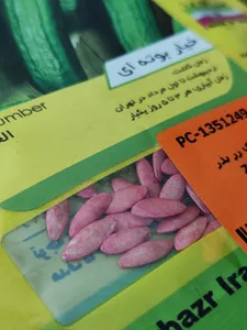 تجریه خرید بذر خیار بوته ای زر بذر ایرانیان کد ZBP-22