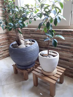 استند گلدان مدل NETWg02 مجموعه 2 عددی