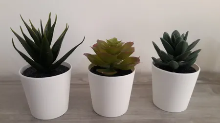 گلدان و گل مصنوعی ایکیا مدل 20395331 - FEJKA بسته 3 عددی