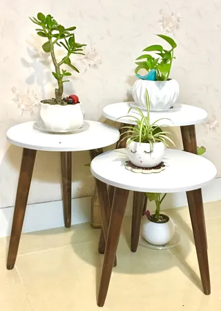 میز عسلی مدل 456 کد 04 مجموعه 3 عددی