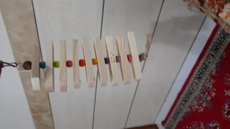 اسباب بازی پرندگان مدل آویز قفس عروس هلندی