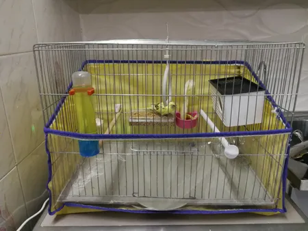 لانه پرنده مدل آجری کد 20109