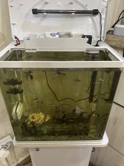 ابر فیلتر آکواریوم اکسیر مدل 61235 مجموعه 5 عددی