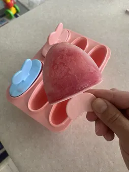 قالب بستنی آسا پلاستیک مدل TR 2