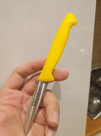 چاقو میوه خوری جی بی اف مدل Solingen