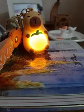 تجریه خرید جاکلیدی مدل چراغدار طرح خرسی کد OranG