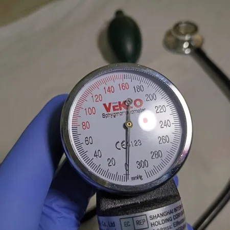 گیج فشار سنج وکتو مدل HS-20a