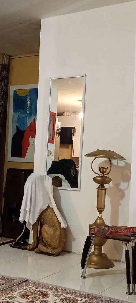 آینه مدل قدی S14