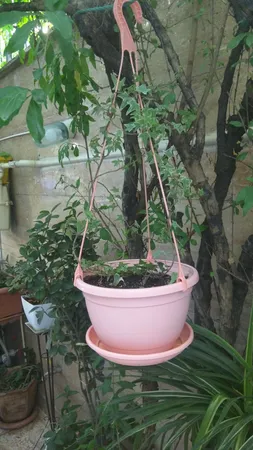 گلدان آویز شهرآذین مدل 2018