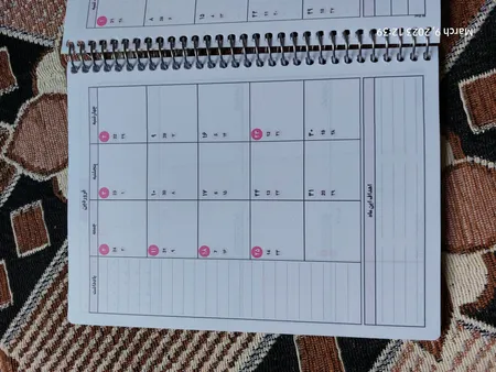 سالنامه سال 1404 مستر راد طرح دارک تروپیکال کد fiory 2673